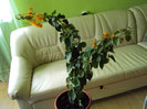 DSC03846