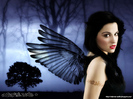 resize (22)