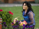 victoria-ruffo-887406l