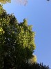 C360_2011-10-07 09-33-34