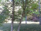 C360_2011-10-07 09-34-09