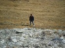 SAM_3169