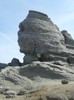 SAM_3211