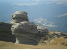 SAM_3252