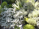 P1160749