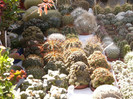 P1160754