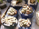 P1160756