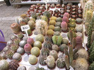P1160758