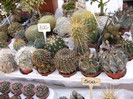 P1160761