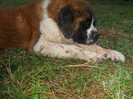 octombrie 2011 087
