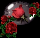 1285142982_red20glitter20roses