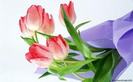 images (4)