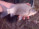 CIMG0470