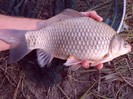 CIMG0471