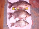 CIMG0476