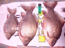 CIMG0481