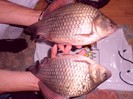 CIMG0483