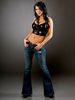 Rosa-Mendes-wwe-divas-25371549-291-383