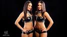 The-Bella-Twins-wwe-divas-25319137-686-384