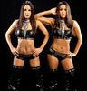 The-Bella-Twins-wwe-divas-25319327-369-384