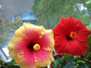 DSC00501