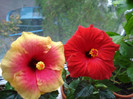 DSC00502