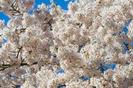 images (15)
