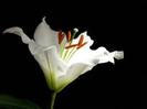 images (20)