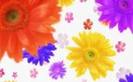 images (4)