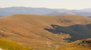 Transalpina