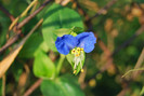 DSC_00000 (891)