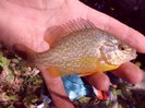 CIMG0489