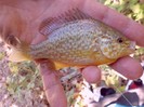 CIMG0490