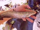 CIMG0491