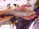 CIMG0493