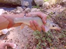 CIMG0495