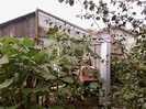 lateral