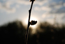 Concediu 2009 (1101)