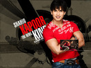 Shahid Kapoor pictures for your desktop