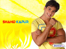 shahid_kapoor09_10x7