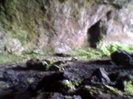 pestera unguru mare 41