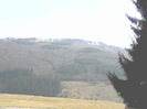 padure laizvoare