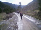 valea lupului 2