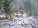 valea lupului 4