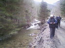 valea lupului 5