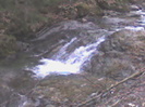 valea lupului 7