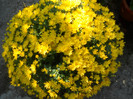 DSCN2079