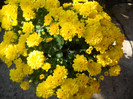 DSCN2081