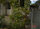 poze 273