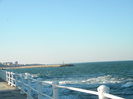 DSCN7631